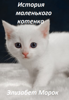 История маленького котенка (Элизабет Морок)