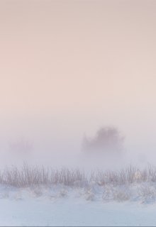 Пелена (edik7727)