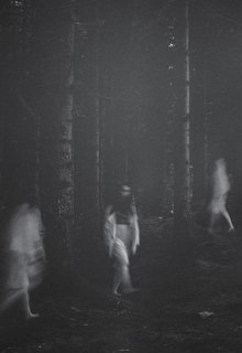 Девочка, кошмары и паук (Алина Кононова)