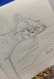 Валериан, чёрный леопард. (Мила Кристик)