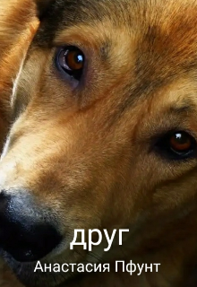 Друг (Анастасия Пфунт)
