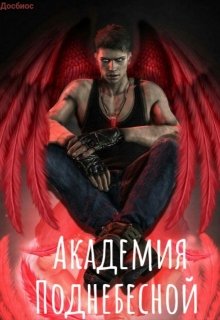 Академия Поднебесной (Докбиос)
