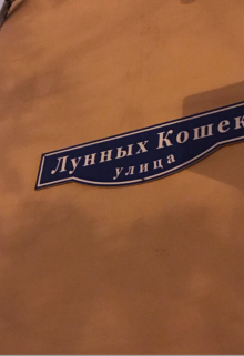 Улица Лунных Кошек (Sussie Little)