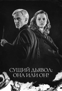 Сущий дьявол: она или он? (ToriiLee)