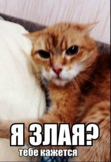 25 причин моей злости (Леанон Сола)