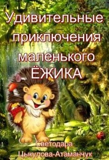 Удивительные приключения маленького Ёжика (Светодара Цыкулова-Атаманчук)