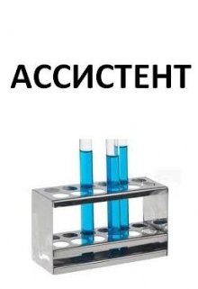 Ассистент (D-Rozd)