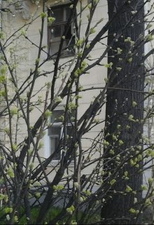 Город (Инна Кулик)