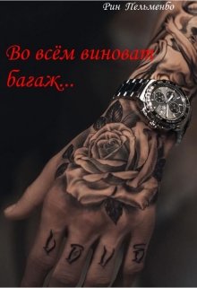 Во всём виноват багаж… (Рин ПельменБог)
