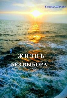 Жизнь без выбора (Евгения Шапиро)