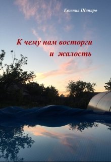 К чему нам восторги и жалость (Евгения Шапиро)