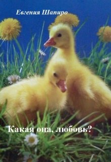 Какая она, любовь? (Евгения Шапиро)
