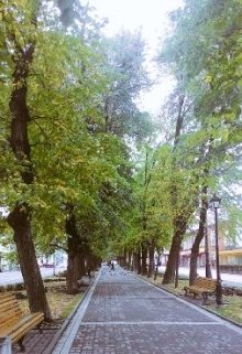 Аллея чудес (Вера Кравченко)