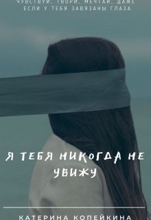 Я тебя никогда не увижу (Катерина Копейкина)