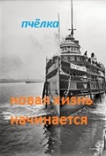 Новая жизнь начинается. (Пчелка)