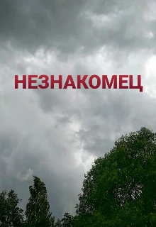 Незнакомец (Татьяна Чайкина)