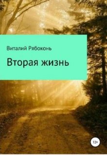 Вторая жизнь (Виталий Рябоконь)