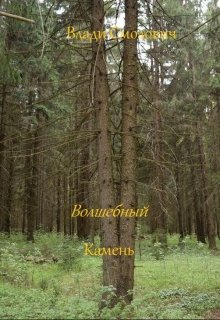 Волшебный камень (Vladi Smolovich)