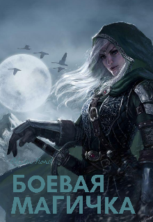 Боевая магичка, или Берегись, академия! (Алиса Норд)