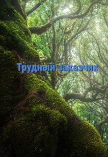 Трудный заказчик (Инжи Флоранс)