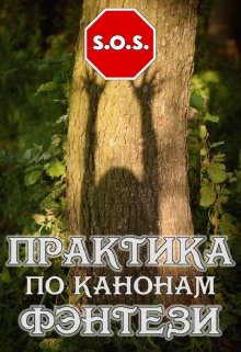 S.O.S. Практика по канонам фэнтези (Муза Фиш)