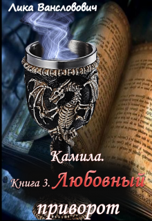 Камила. Книга 3. Любовный приворот (Лика Вансловович)
