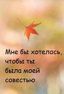 Мне бы хотелось, чтобы ты была моей совестью (ari ai)