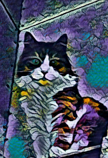 Короткие магические истории (Дина Шехур)