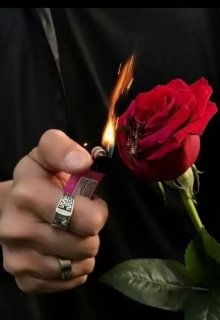 Я буду твоим мужем… (Славомира Ан)