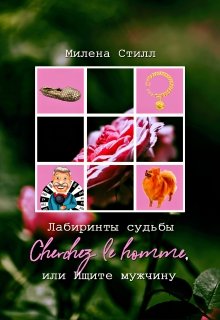 Лабиринты судьбы, или Ищите мужчину (Милена Стилл)