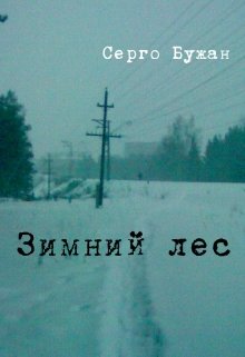 Зимний Лес (Серго Бужан)