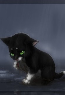 Кошка и её человек (Арей)