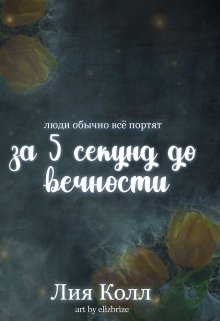 За 5 секунд до вечности (Лия Колл)
