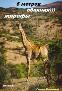 Шесть метров обаяния. Жирафы (Галина Конашкова (galcka68))