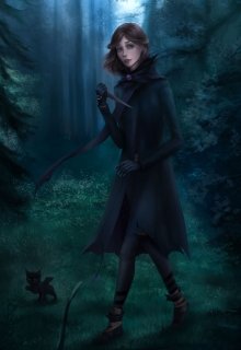Сумрак в паутине (Driona Arcane)