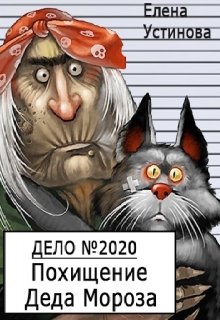 Дело 2020. Похищение Деда Мороза (Елена_Устинова)