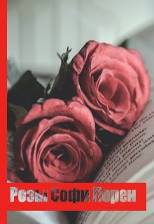 Розы сорта Софи Лорен (Мариана Волейко)
