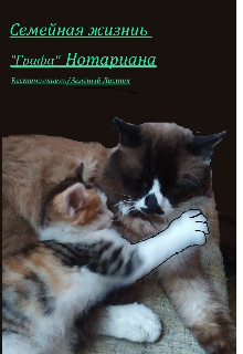 Семейная жизнь «Графа» Нотариана (Вестиналинель)