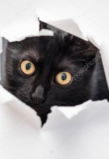 Кот (Вульфина)