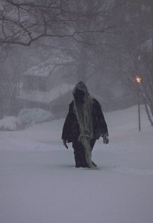 Разрез жизни (Хэв)