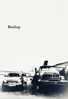 Выбор (AleksSoarer)