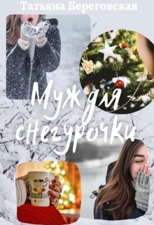 Муж для Снегурочки (Татьяна Береговская)