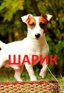 Шарик (Джаз Экшн)