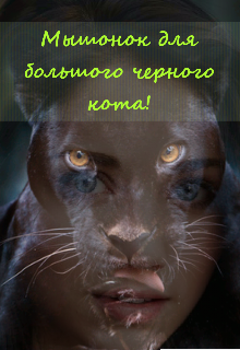 Мышонок для большого черного кота (Лилиана (Феникс))