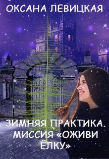 Зимняя практика. Миссия «Оживи ёлку». (Оксана Левицкая)