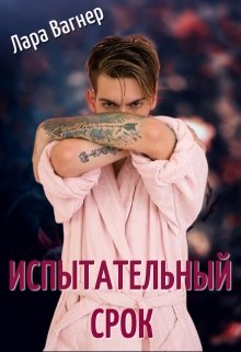 Испытательный срок (Лара Вагнер)