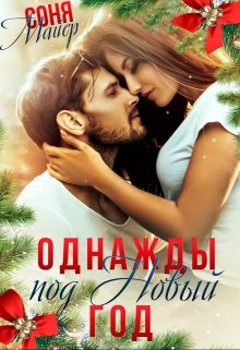 Однажды под Новый год (Соня Майер)
