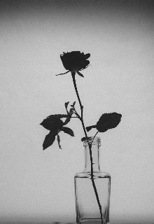 Замуж за Нильсена (Michael spn)