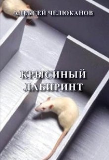 Крысиный лабиринт (Алексей Челюканов)