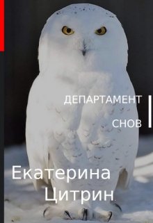 Департамент сновидений (Екатерина Цитрин)